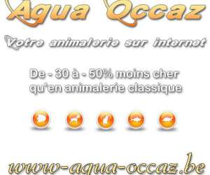  Animalerie Aqua Occaz