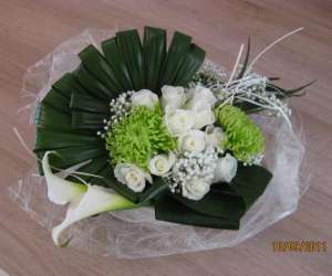 photo Flora spenta armaiti  Bruxelles (ganshoren) 5596