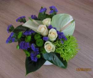 photo Flora spenta armaiti  Bruxelles (ganshoren) 5597