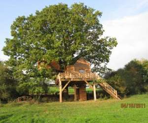 Cabanes Dans Les Arbres