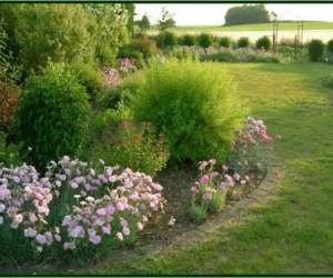photo Espace-nature / chambre d'htes - merdorp belgique Merdorp 5653