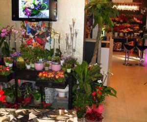 photo L'art.ose Bruxelles (woluwe-saint-lambert) 6094