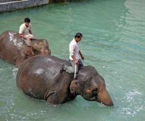 photo Pairi daiza Brugelette 6813