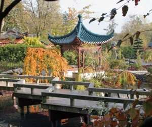 photo Pairi daiza Brugelette 6815