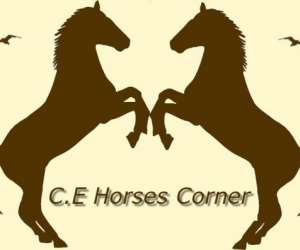 Ecurie Horses Corner