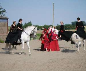 photo Terra danza asbl Louvain-la-neuve 6848