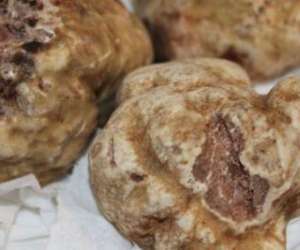 photo Lou f�rri Havelange 9860