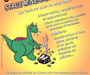 Musée De L’iguanodon . Stage Minéraux Et Fossiles Musée De L’iguanodon . Stage Minéraux Et Fossiles