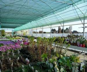 photo Les jardins saint michel Glimes 7629