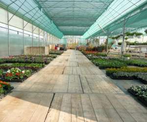 photo Les jardins saint michel Glimes 7630
