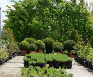 photo Les jardins saint michel Glimes 7632