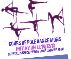 Cours De Pole Dance Mons