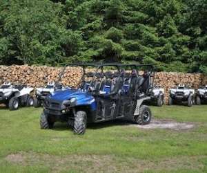 Forest Quad Forest Quad