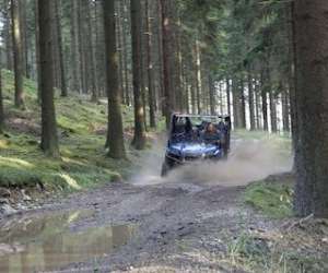 photo Forest quad Sougn-remouchamps 7860
