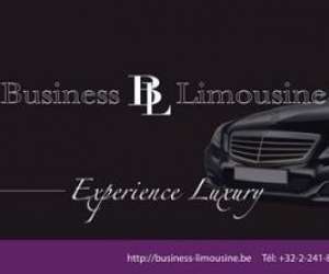 Business limousine