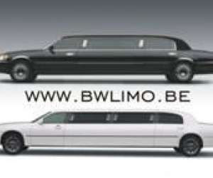 Black and white limousines