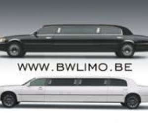 Black And White Limousines