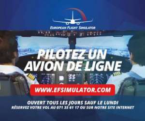 European flight simulator