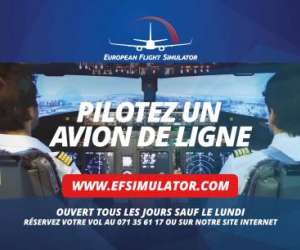 European Flight Simulator