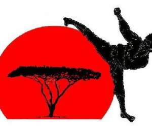 photo Kime karate gembloux Gembloux 9732