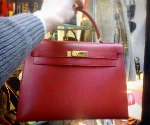 photo Rose tendre vintage Bruxelles 12942
