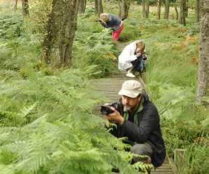 Jean-louis Brocart  Photographie, Stages, Cours,  