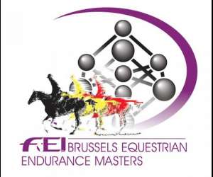 Brussels equestrian endurance masters
