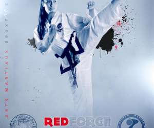 photo Red force : karat, jujitsu, taekwondo, self-dfense, kickboxing  Bruxelles (ixelles) 11584