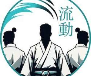 photo Ryudo aikido evere Evere 13327