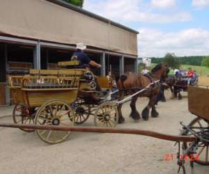 photo Ferme du champ robin Saint-hubert 6315