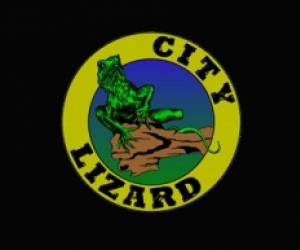 Boulderzaal City Lizard Bvba