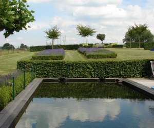 photo Reverie (la) Marilles 3617