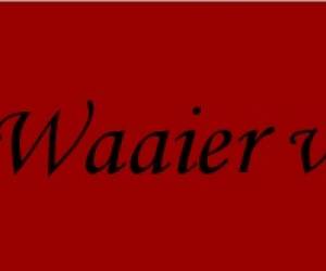 De Waaier Vzw De Waaier Vzw