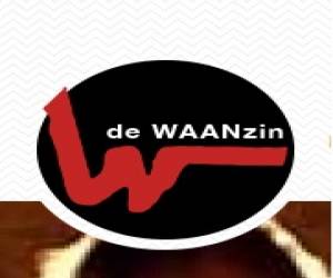 De Waanzin Vzw