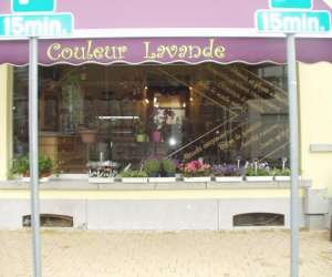 photo Couleur lavande Luttre 3745