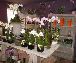 photo Esprit nature Ham-sur-heure 7152