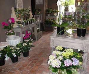 photo Esprit nature Ham-sur-heure 7154