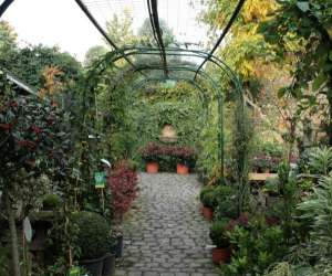photo Coquette p (garden center) sprl Rhode-saint-genese 6735