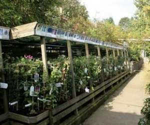 photo Coquette p (garden center) sprl Rhode-saint-genese 6737