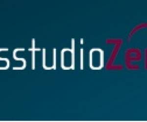 Dans Studio Zenit