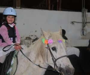 Poney Club De Gaillemarde Sa