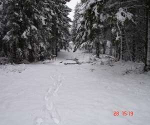 Pistes De Ski De Fond, Raquettes Et Luges De Riezes(chi