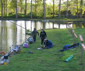 photo Les etangs de la renardise Thieu 4379