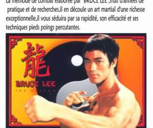 Cours De Jeet Kune Do