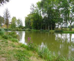 Etang Des 3 Saules