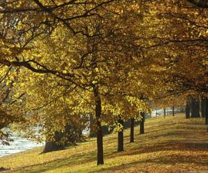 Parc De La Boverie