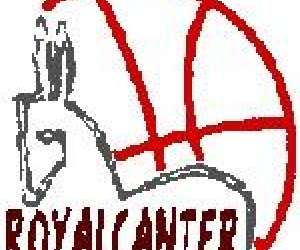 Canter Basket Club Schaerbeek