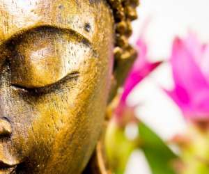 photo La pl�nitude Bruxelles (ixelles) 5830