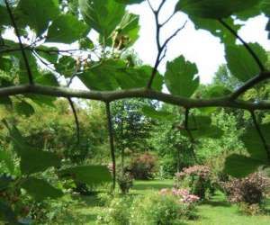 Le Bien Etre Du Jardin Potager Et D Ornement