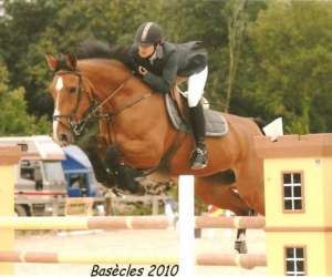 Club Equestre D Estaimpuis